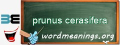 WordMeaning blackboard for prunus cerasifera